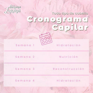 ¿Qué es el cronograma capilar?
